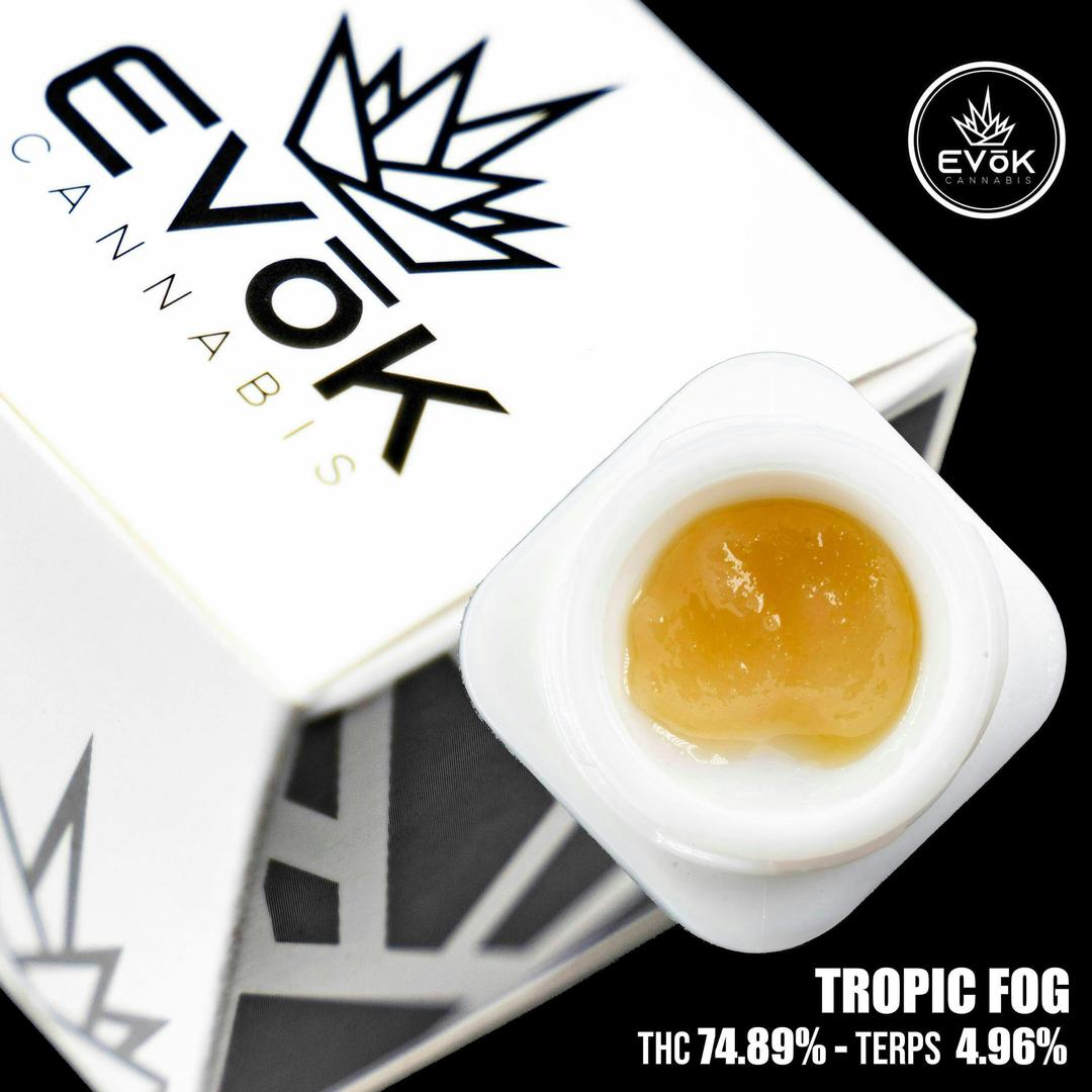 Tropic Fog - Badder *SOURCED BY MVP WEED*
