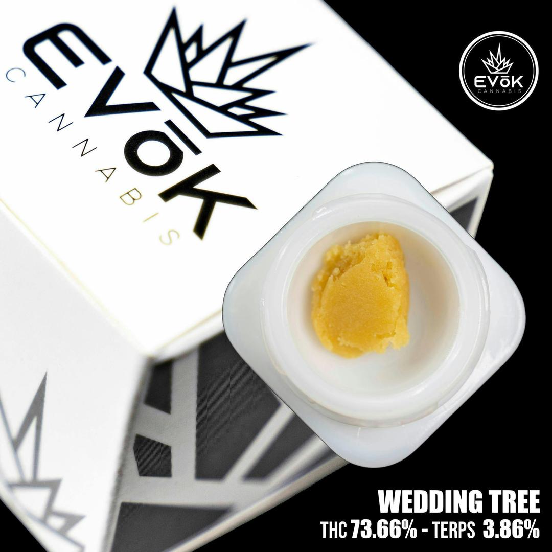 Wedding Tree - Badder *SOURCED BY HIGH RISE*