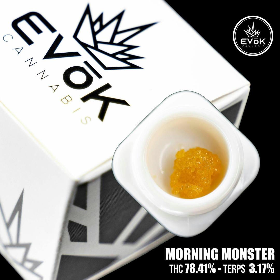 Morning Monster - Sugar *SOURCED BY WHITE BARN*