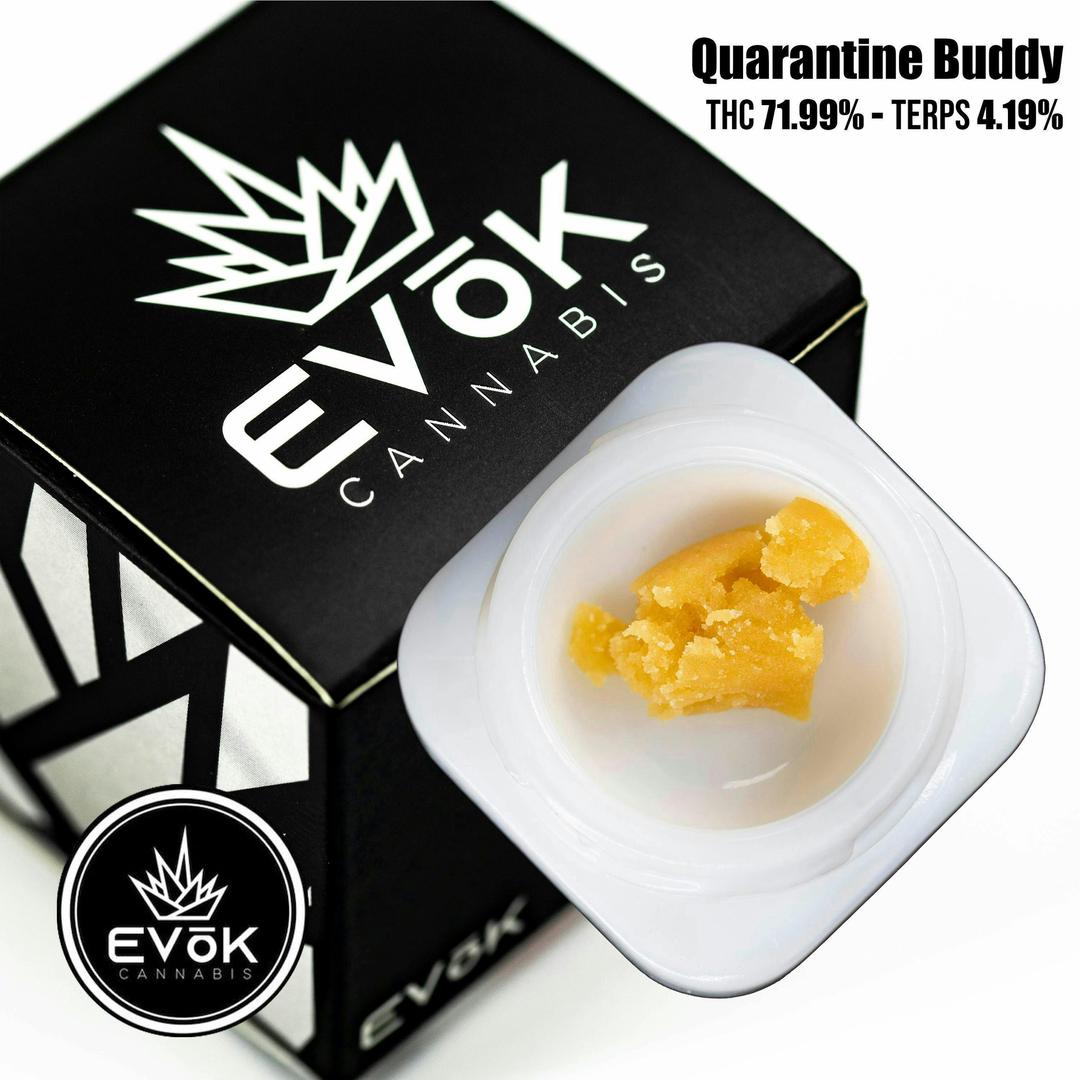 Quarantine Buddy - Badder *SINGLE SOURCE*