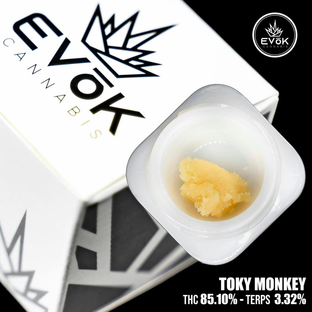 Toky Monkey - Badder *SOURCED BY PRISCILLA'S GARDEN*