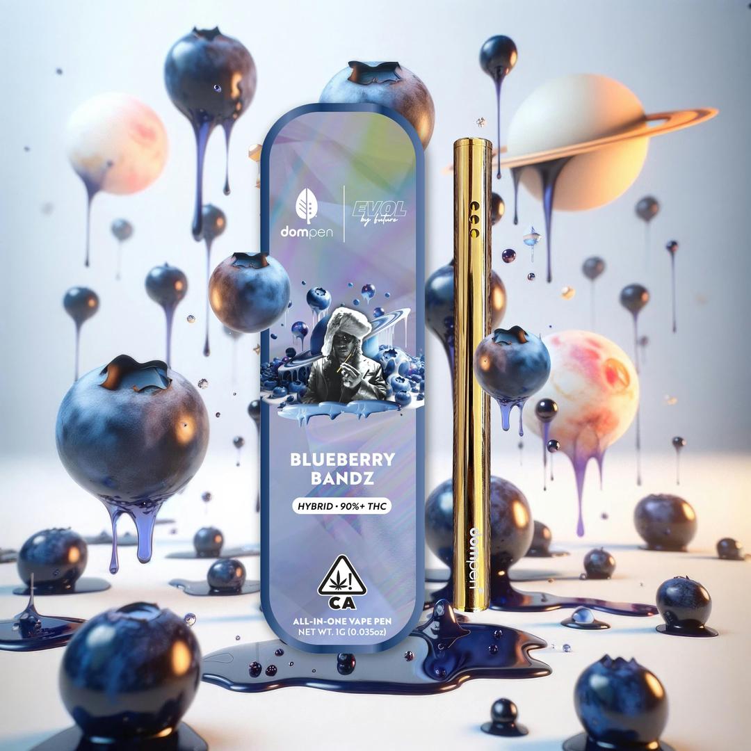dompen™ x Evol by Future: Blueberry Bandz (Hybrid) - 1G Disposable
