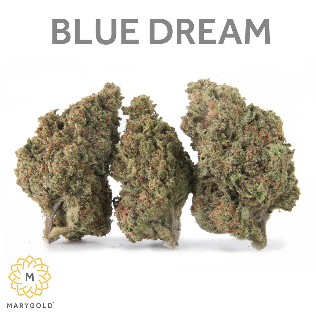 Blue Dream 3.5g (Sativa 28% THC)