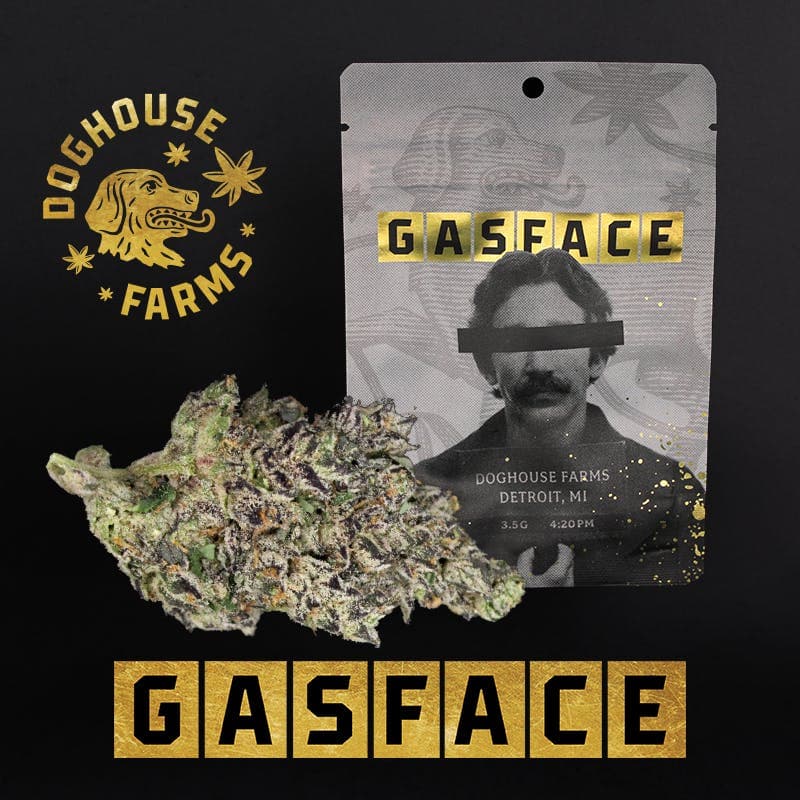 Gasface - 3.5g Mylar Bar - Indica