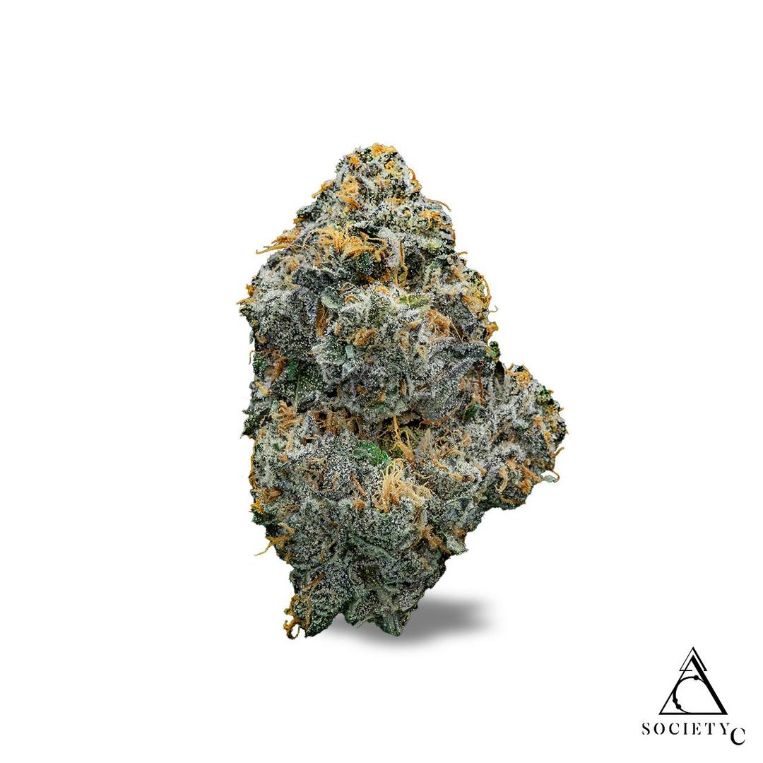 Society C - Gastro Pop