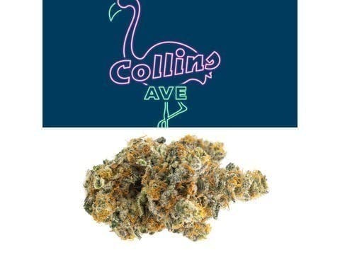 Collins Ave - Collins Ave