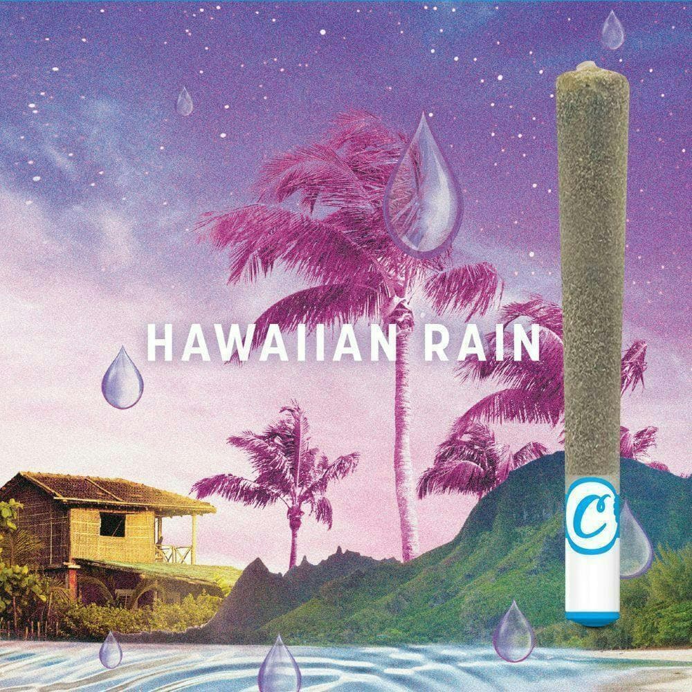Cookies - 1G Infused Pre Roll - Hawaiian Rain