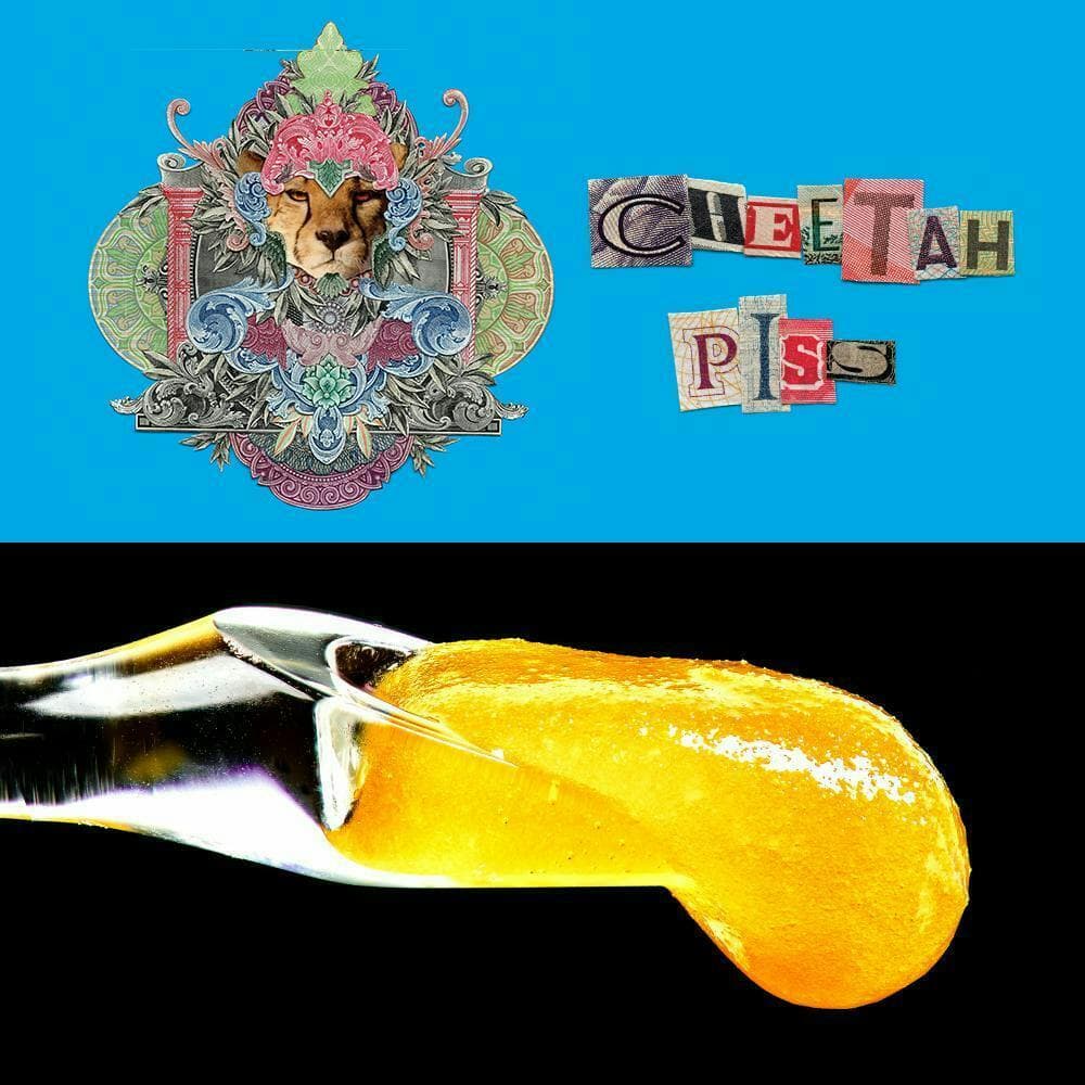 Cookies - 1G Live Badder - Cheetah Piss