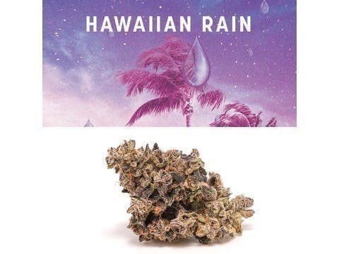 Cookies - 3.5G - Hawaiian Rain