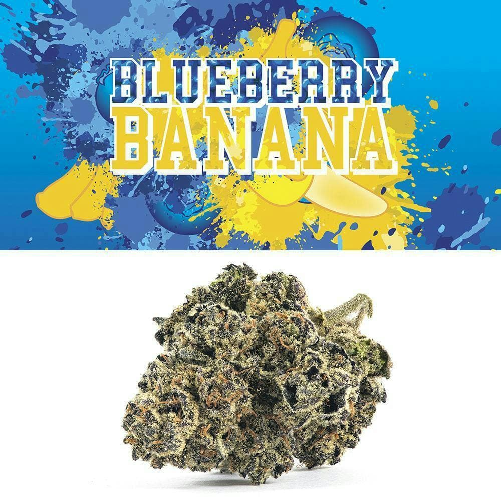 Cookies - 3.5G Flower Tub - Blueberry Banana