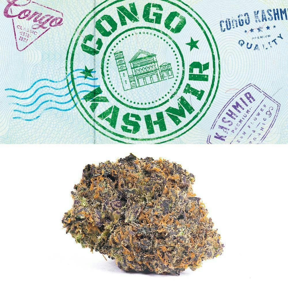 Cookies - 7G - Congo Kashmir
