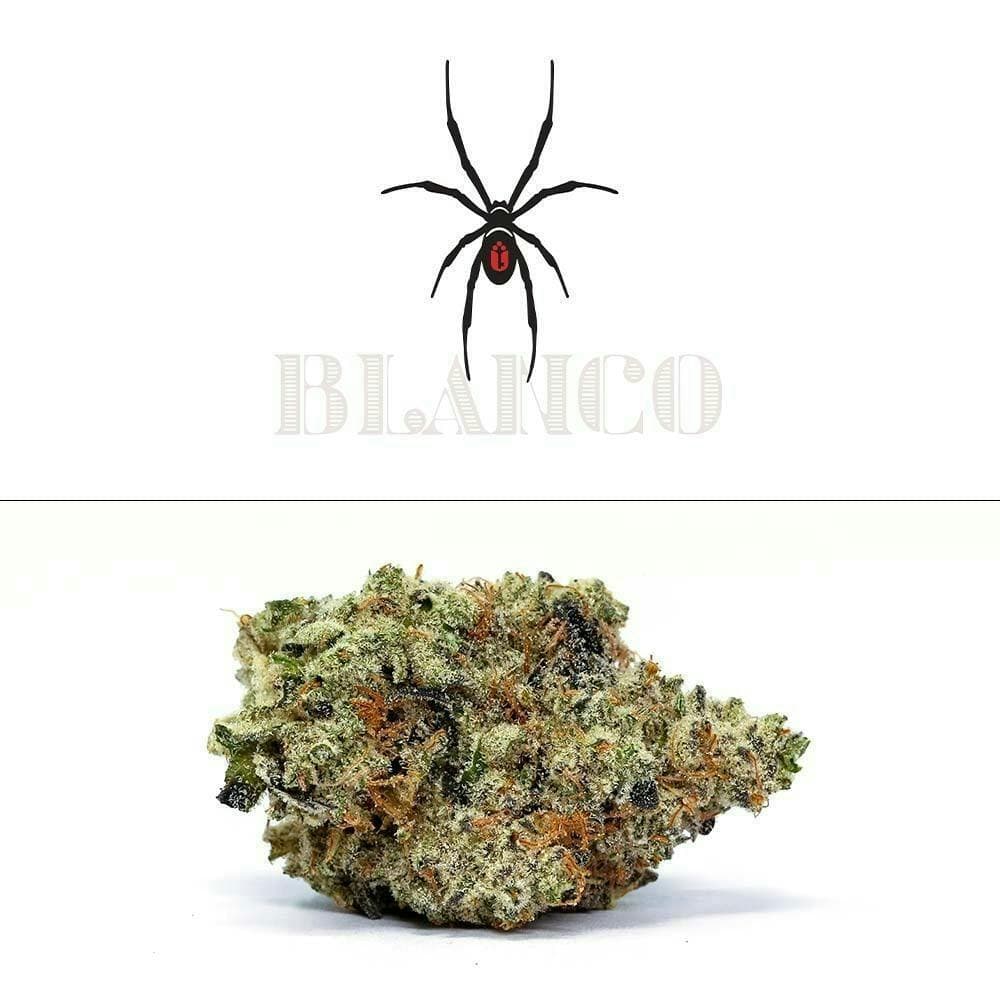 Cookies - Blanco