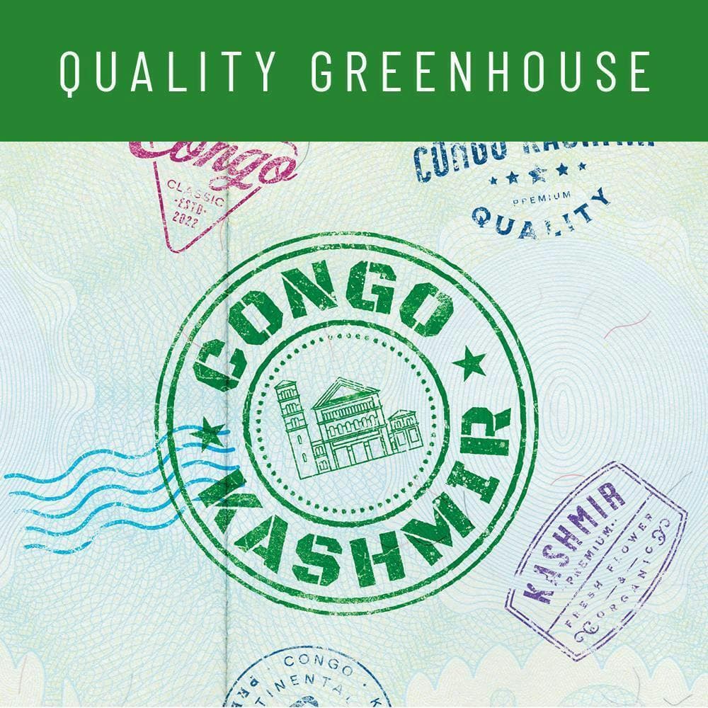 Cookies - Congo Kashmir - Greenhouse