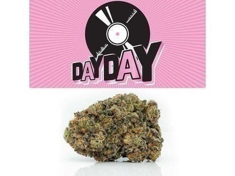 Cookies - Day Day