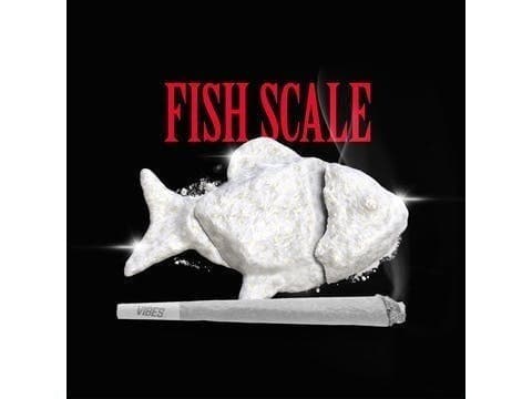 Cookies - Fish Scale - Joint - 1g