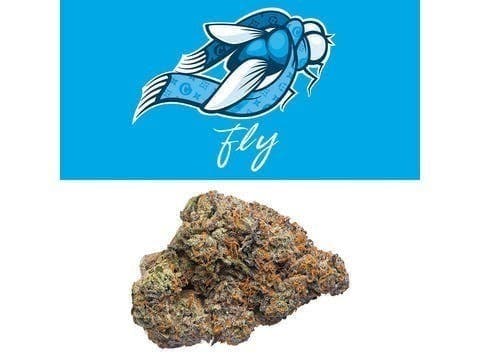 Cookies - Fly