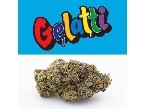 Cookies - Gelatti