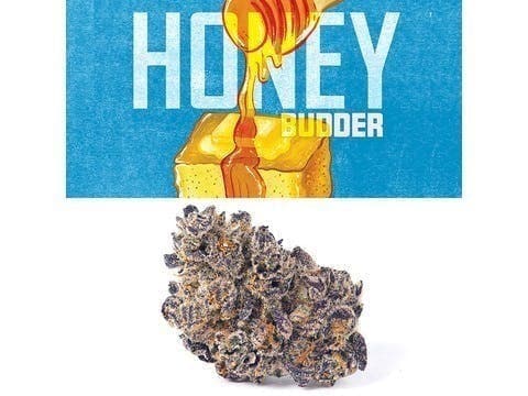 Cookies - Honey Budder