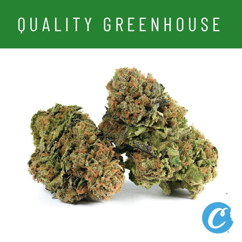 Cookies - ZZ x Lavender Lemonade - Greenhouse