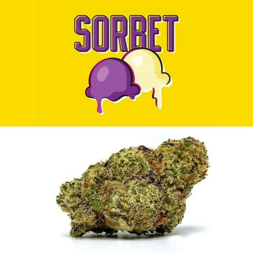 Lemonnade - Sorbet