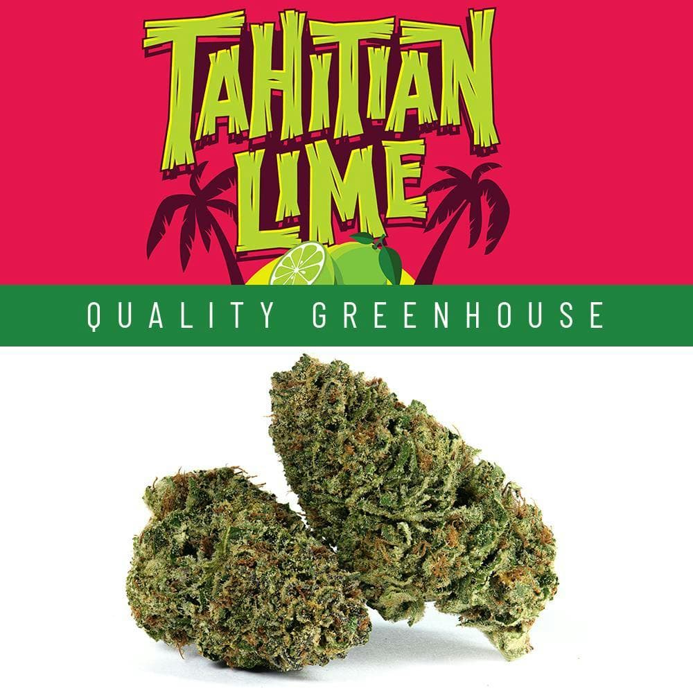 Lemonnade - Tahitian Lime - Greenhouse