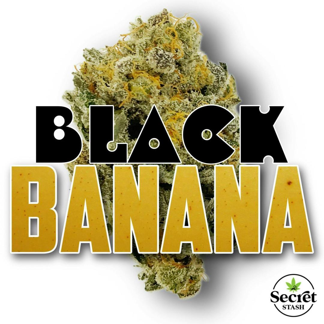 Secret Stash Flower - Black Banana