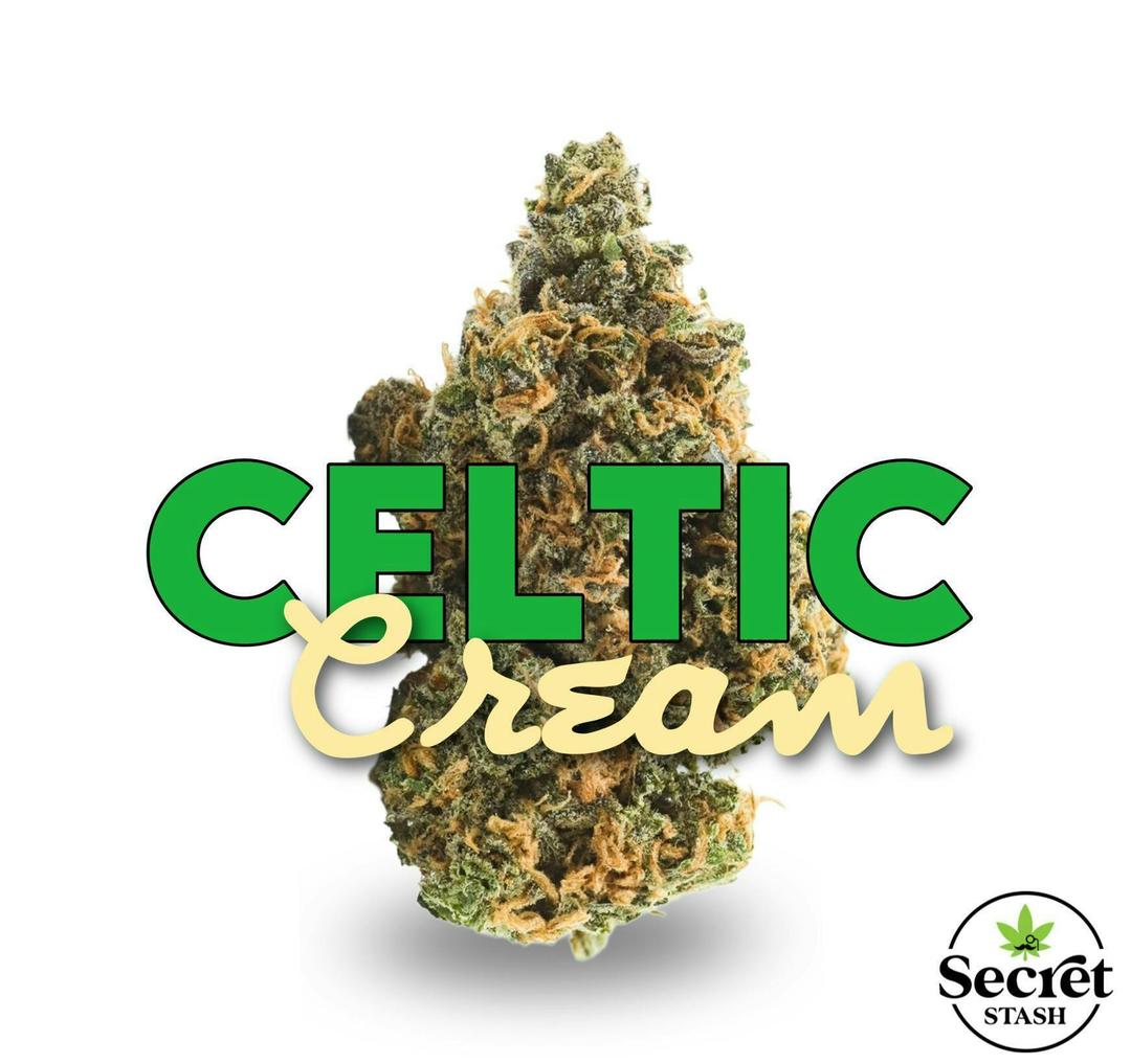 Secret Stash Flower - Celtic Cream