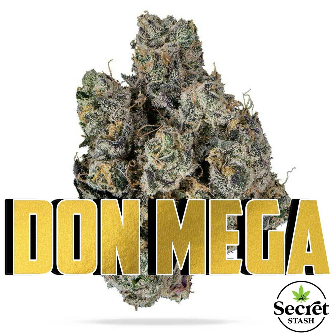 Secret Stash Flower - Don Mega