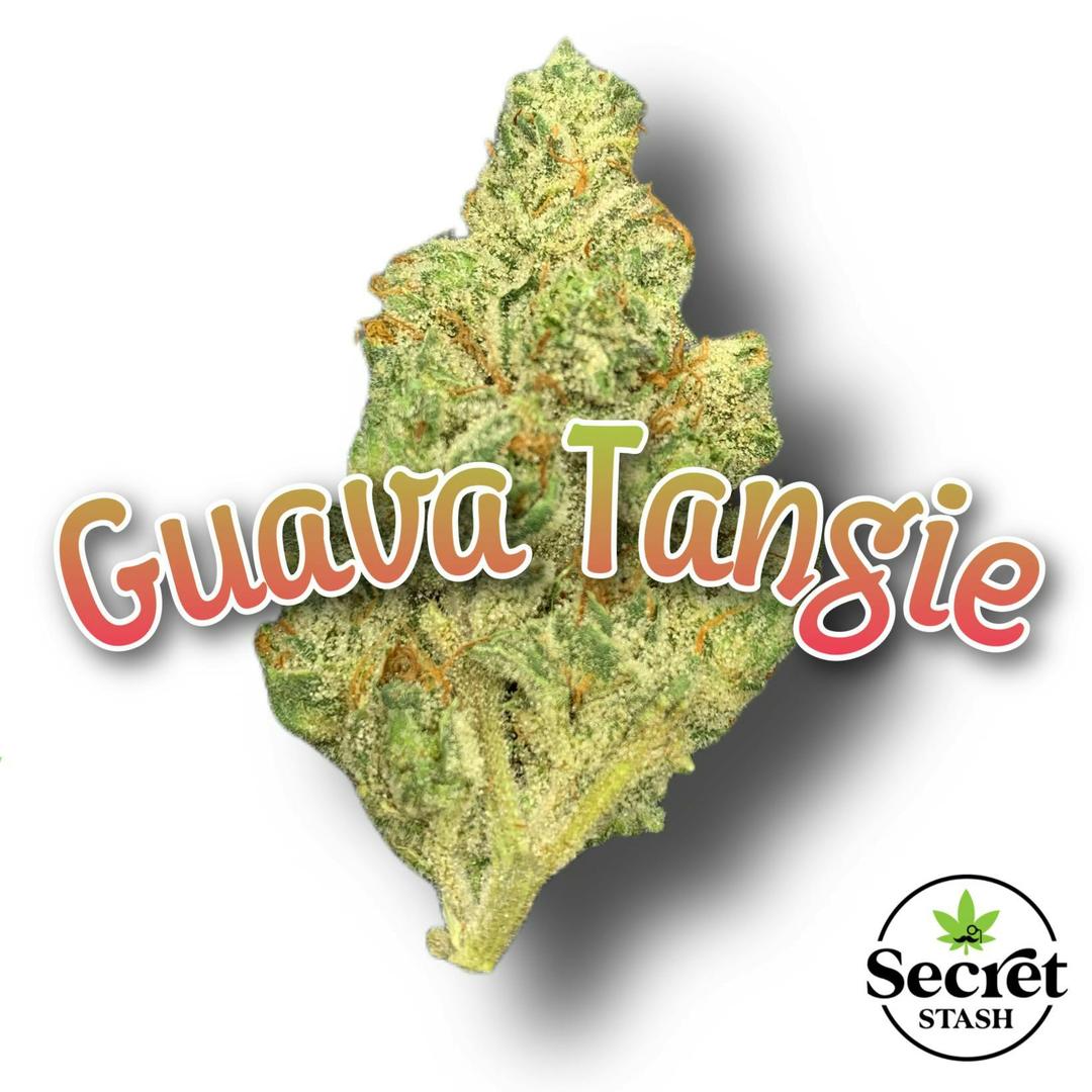 Secret Stash Flower - Guava Tangie