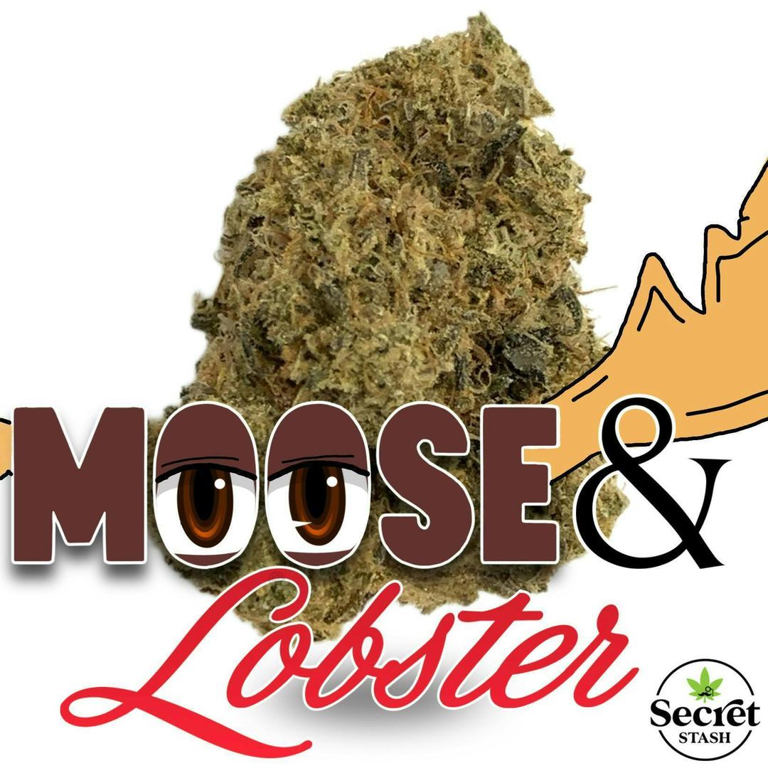 Secret Stash Flower - Moose & Lobster