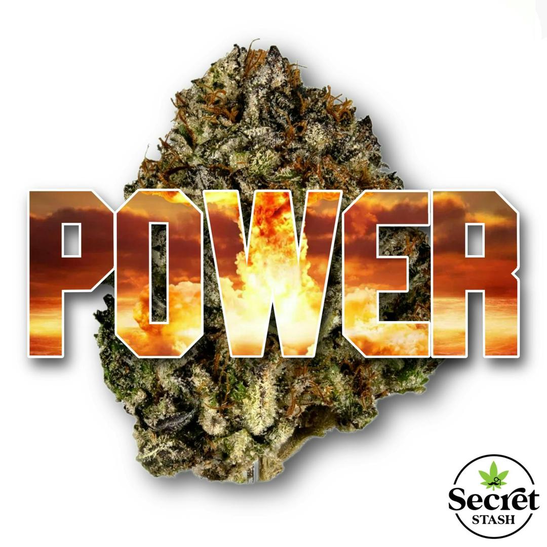Secret Stash Flower - Power #1
