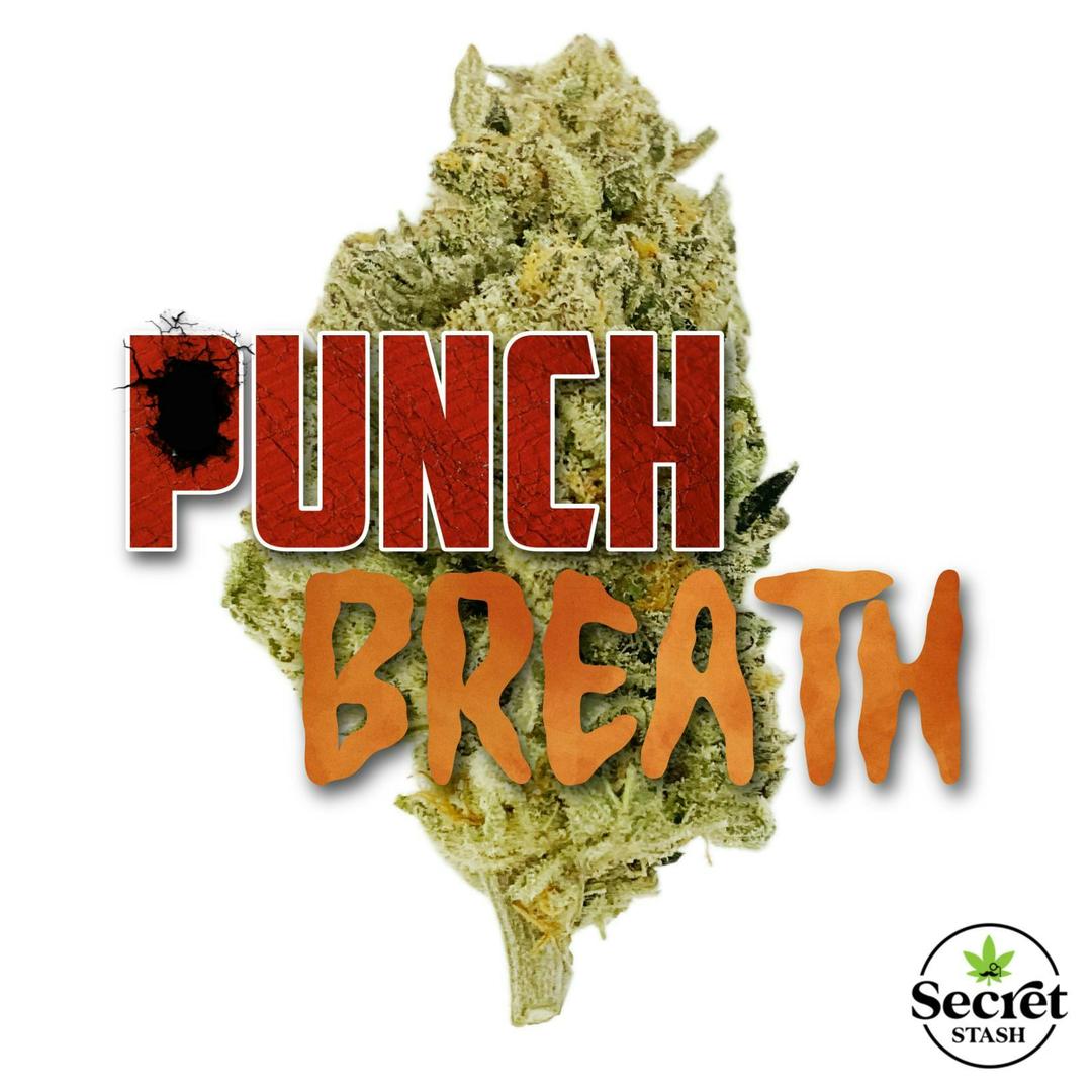 Secret Stash Flower - Punch Breath