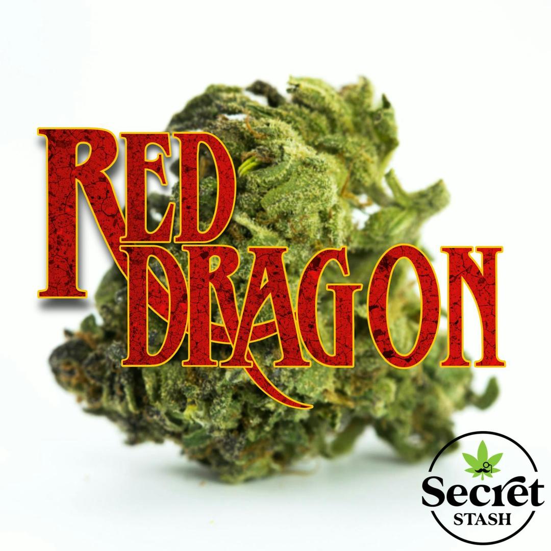 Secret Stash Flower - Red Dragon