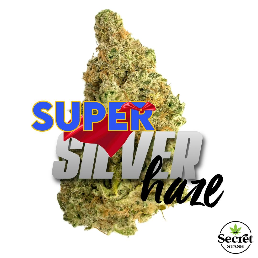 Secret Stash Flower - Super Silver Haze