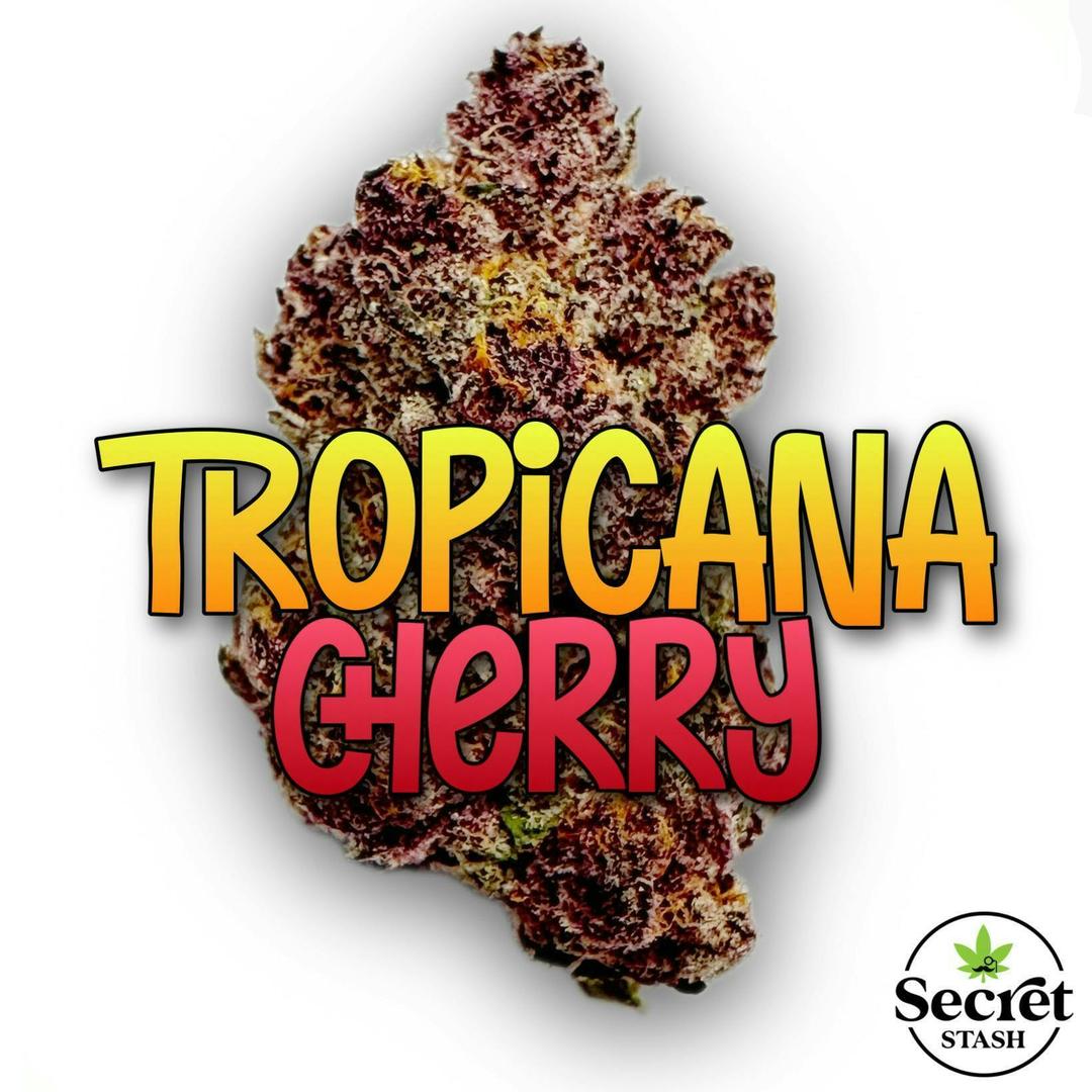 Secret Stash Flower - Tropicana Cherry