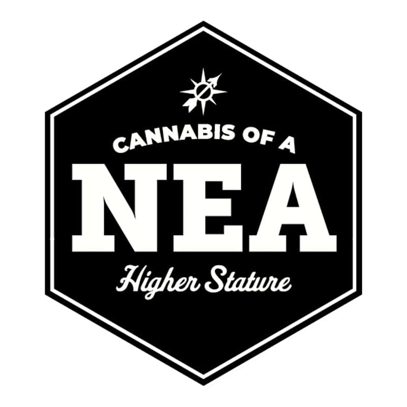 Northeast Alternatives - New Bedford logo