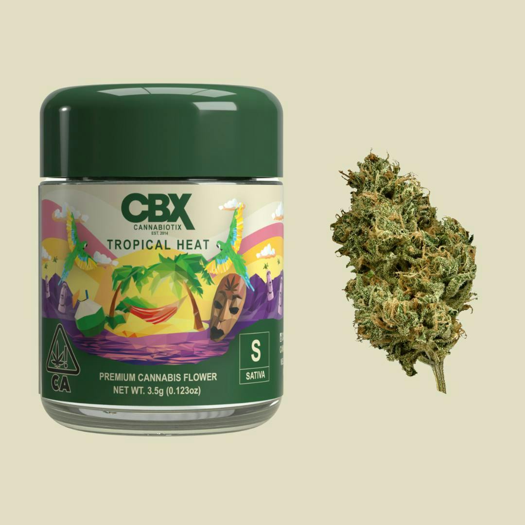 Tropical Heat
