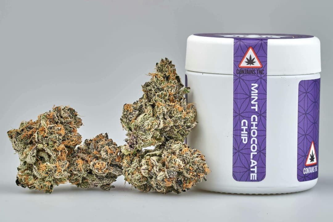 Flower - BLOW OUT - Mint Chocolate Chip