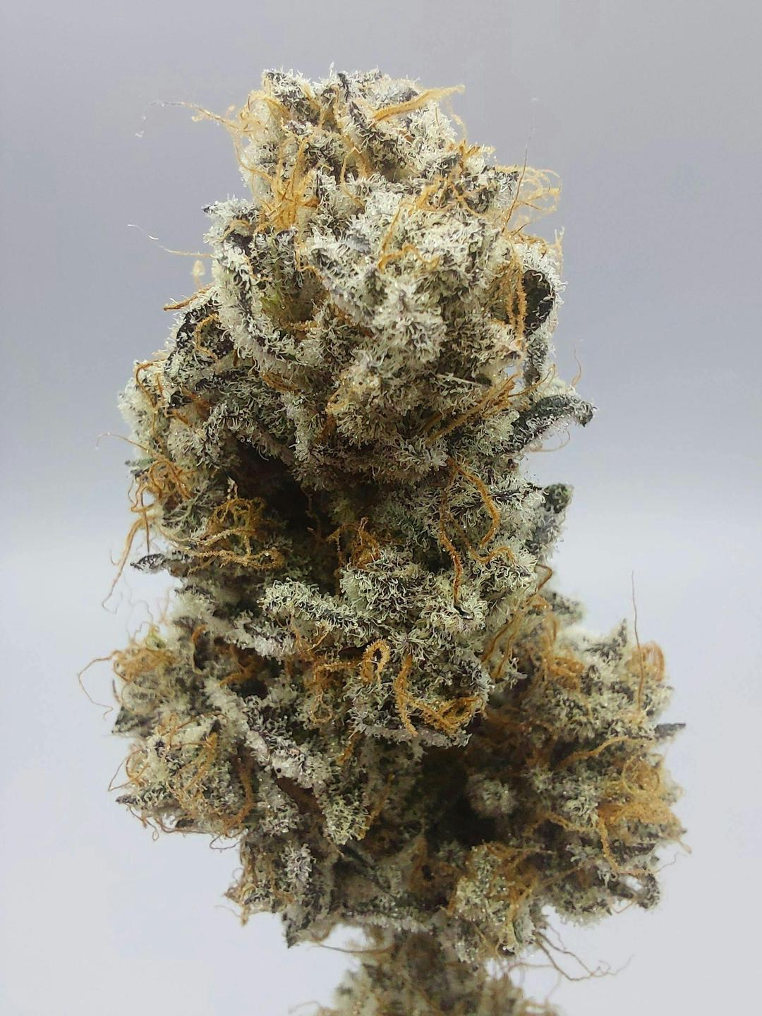 Flower - Private Reserve - Dumpsta Funk #10