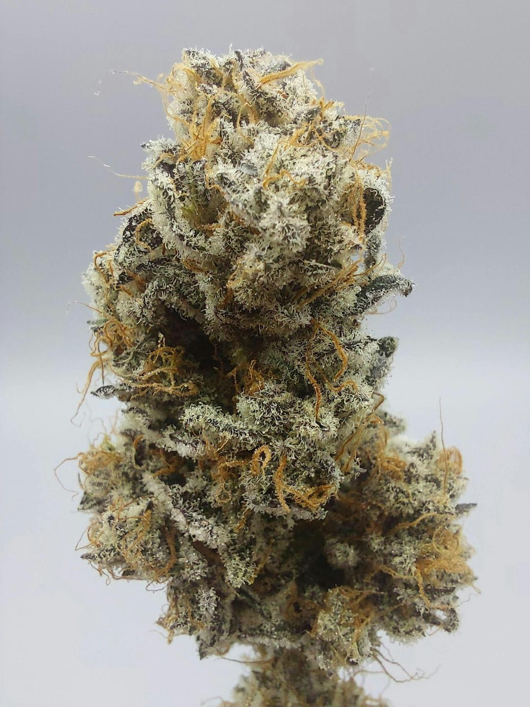 Flower - Tier 1 - Dumpsta Funk #10