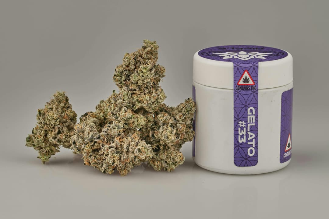 Flower - Tier 1 - Gelato #33