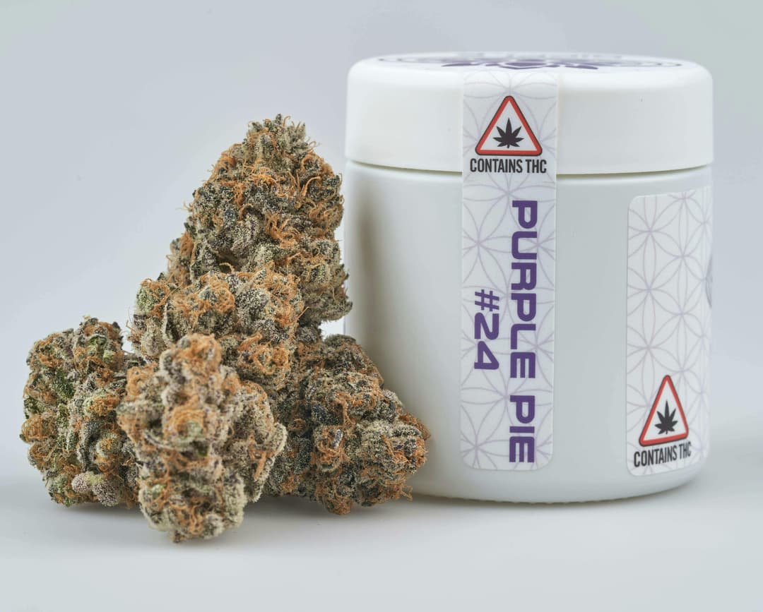 Flower - Tier 1 - Purple Pie #24