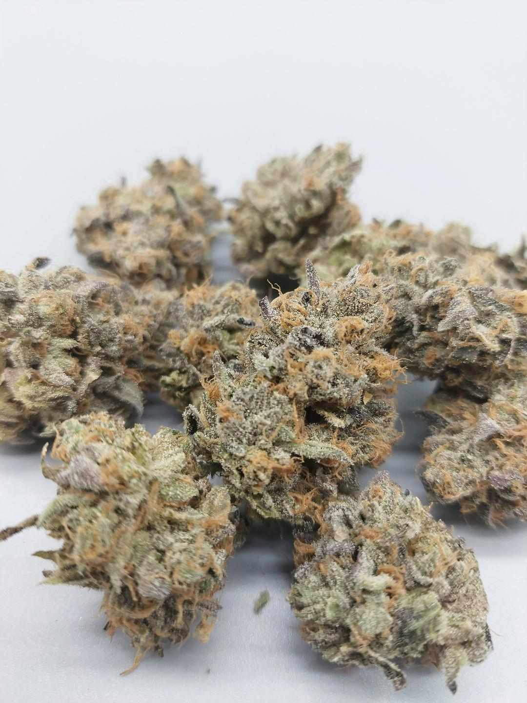 Flower - Tier 2 - Dozi - Zo'z #7