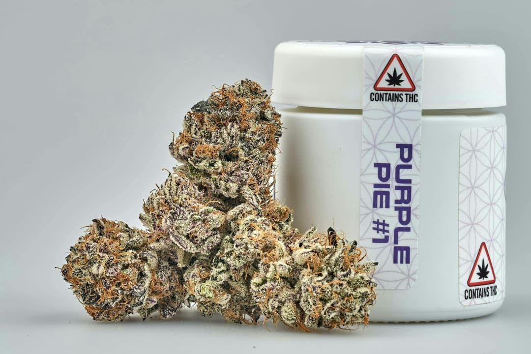 Flower - Tier 2 - Purple Pie #1