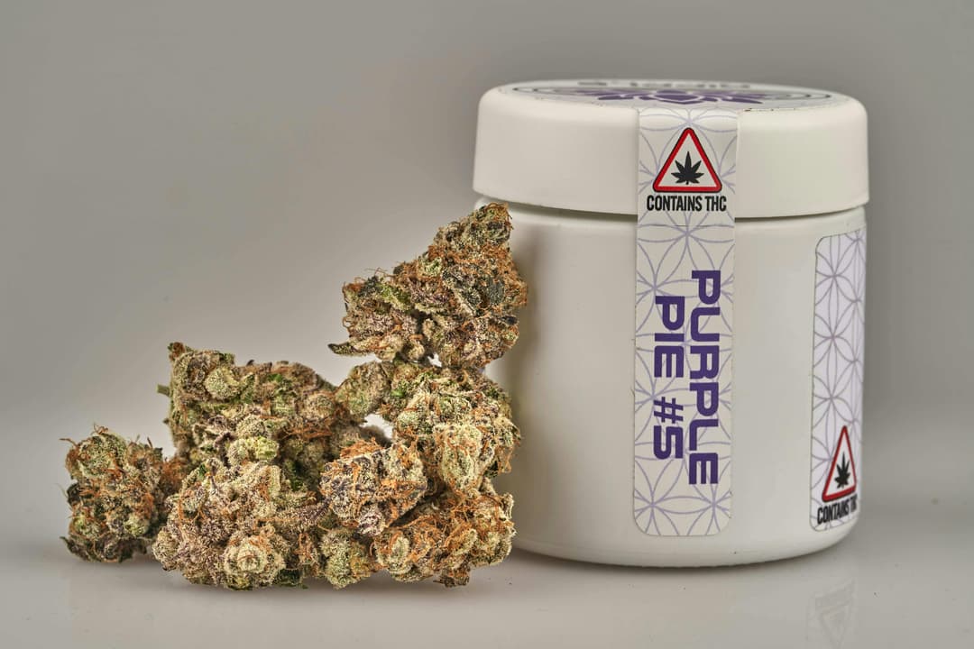 Flower - Tier 2 - Purple Pie #5