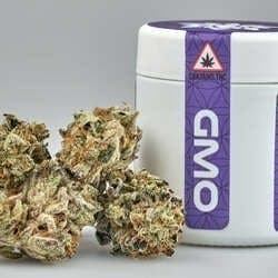 Flower - Tier 3 - GMO