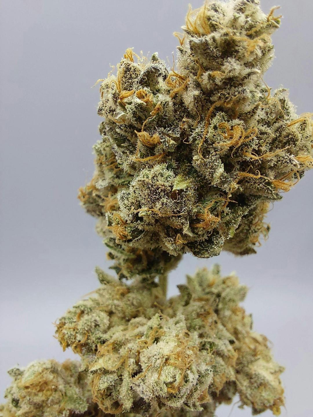 Flower - Tier 3 - Green Fire OG #9