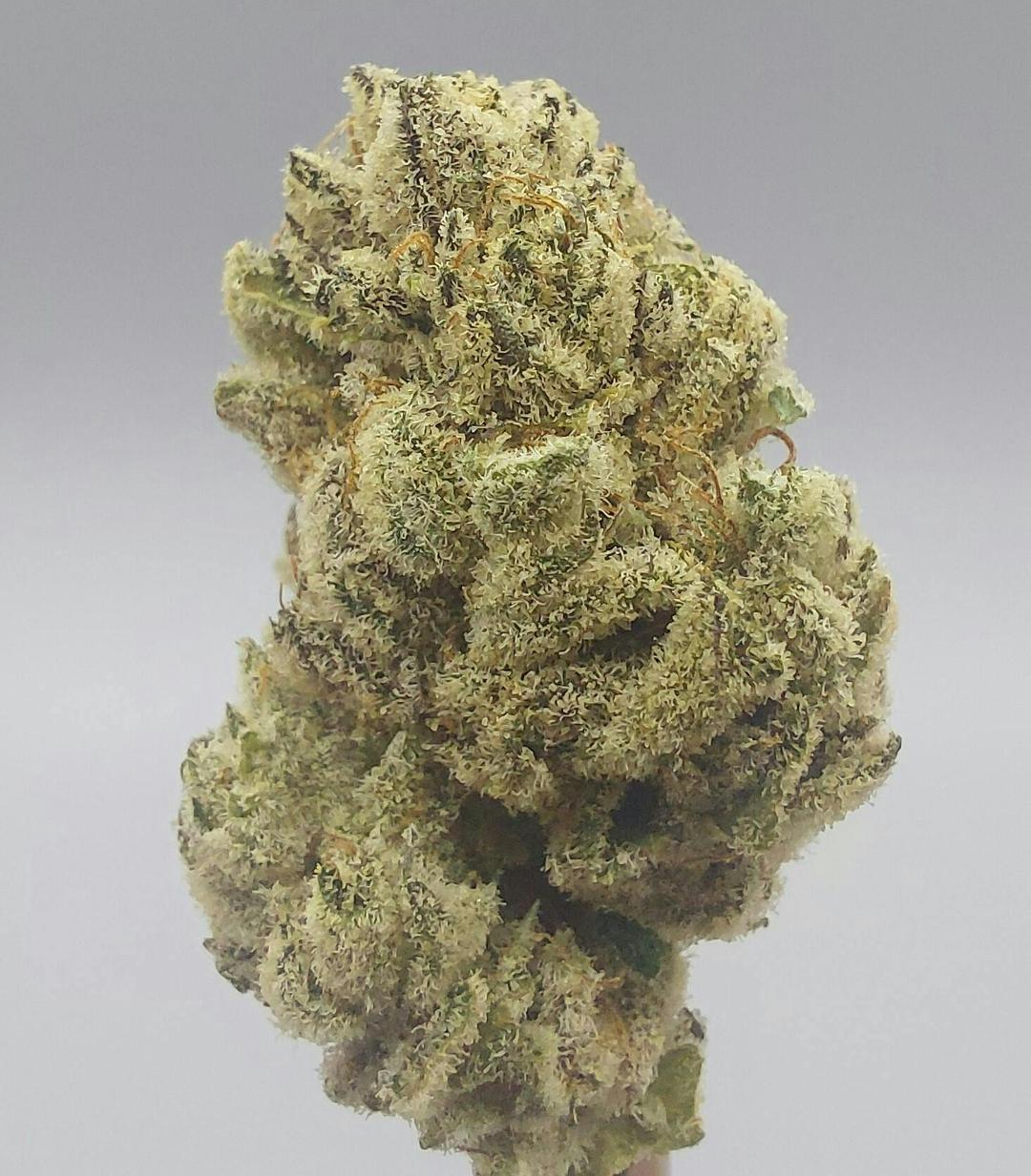 Flower - Tier 3 - Lemon Lava #2