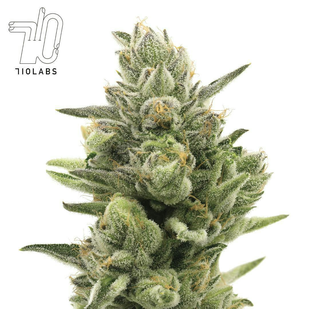 Hot Lixz #16 - 14g Flower