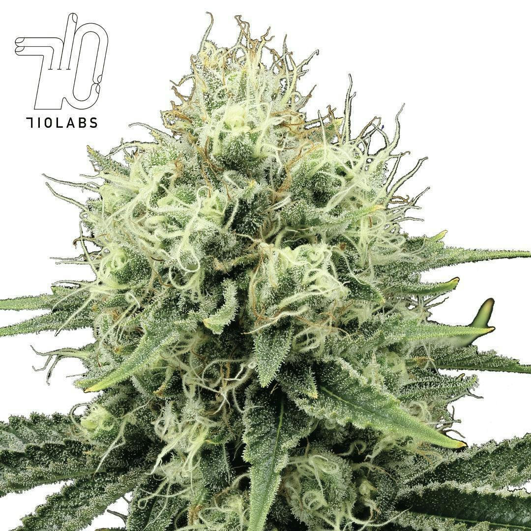 Starburst 36 #40 - Flower